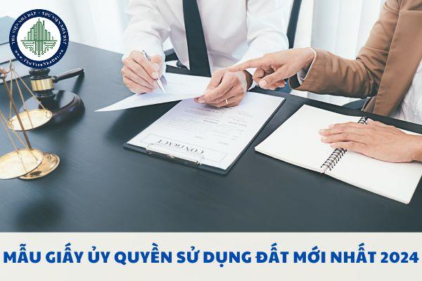 okevipp.com
