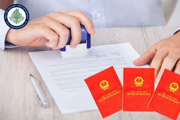 okevipp.com