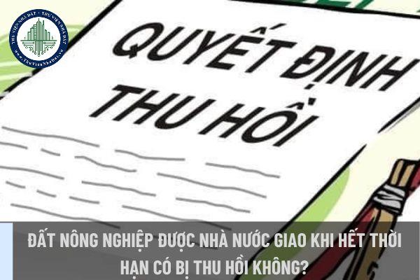 okevipp.com