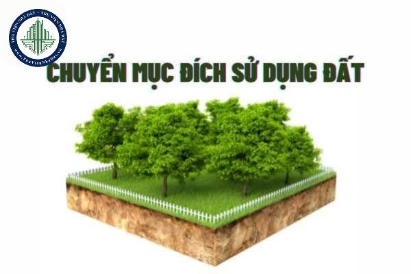okevipp.com