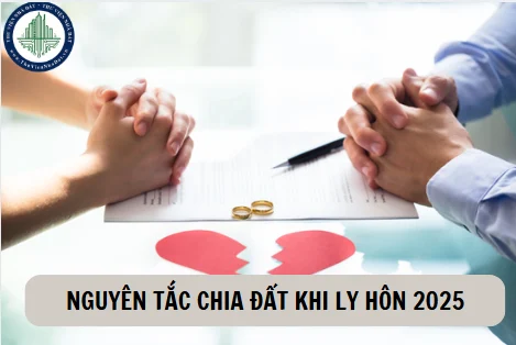 okevipp.com