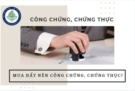 okevipp.com