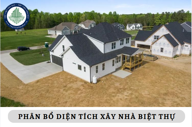 okevipp.com