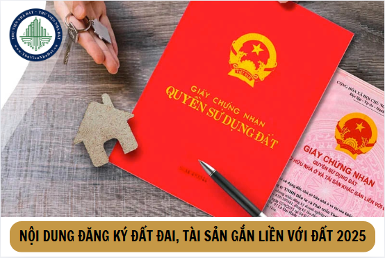 okevipp.com