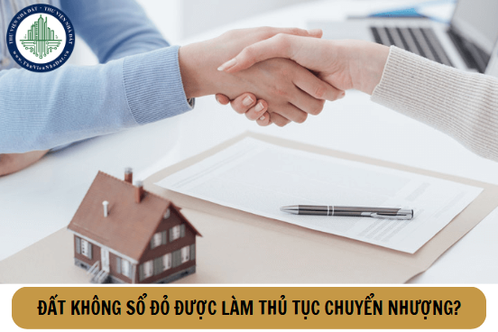 okevipp.com