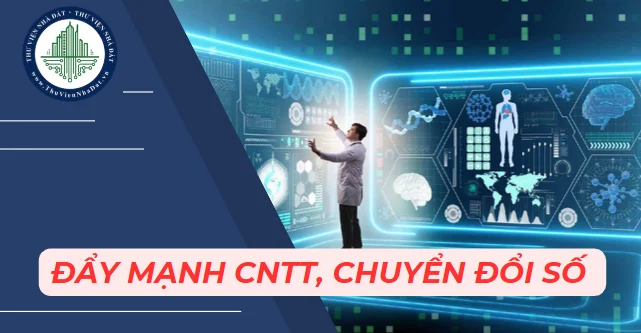 okevipp.com