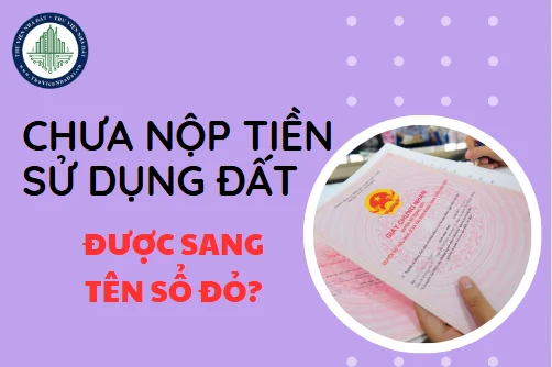 okevipp.com