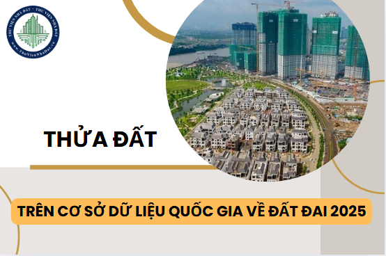 okevipp.com