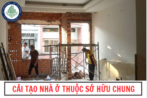okevipp.com