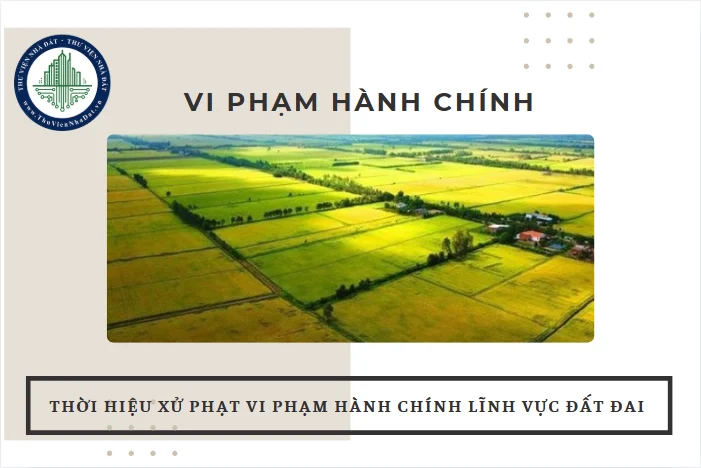 okevipp.com