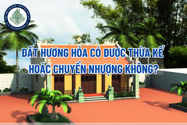 okevipp.com