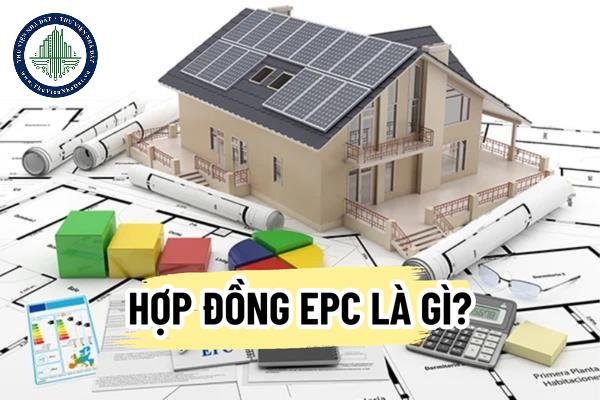 okevipp.com