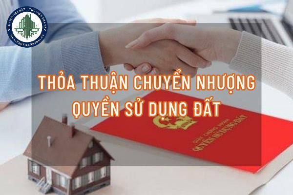 okevipp.com