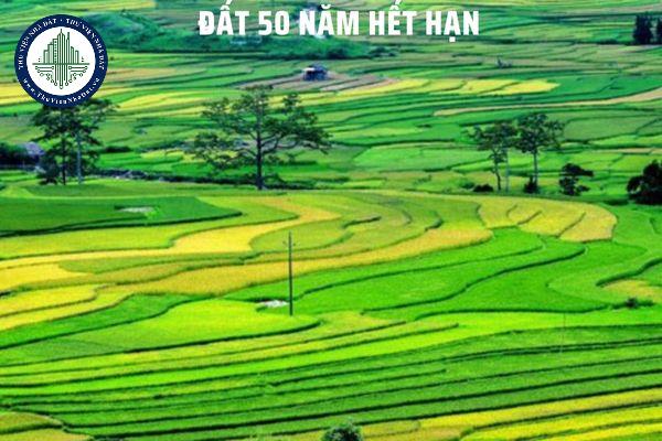 okevipp.com