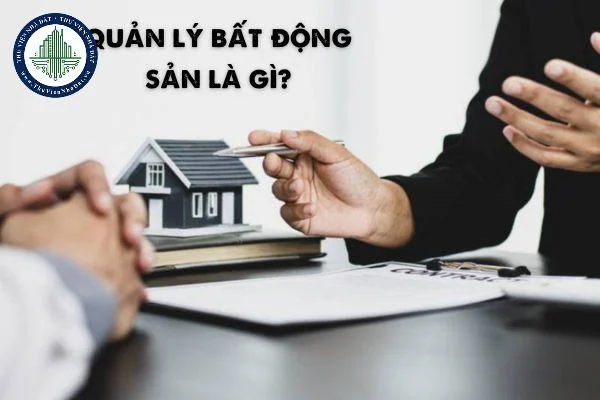 okevipp.com