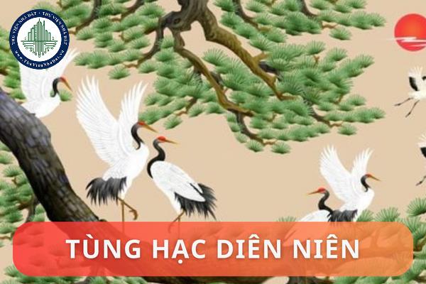 okevipp.com