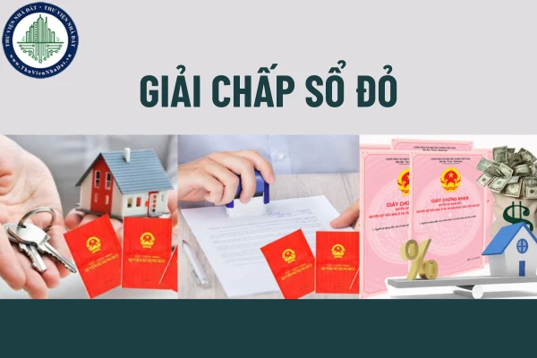 okevipp.com
