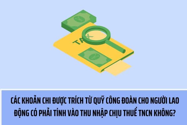okevipp.com
