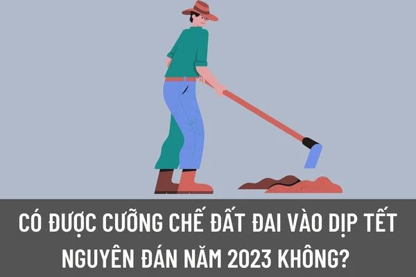 okevipp.com