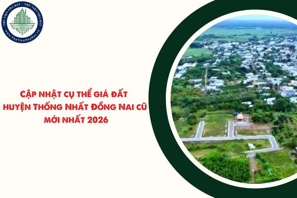 okevipp.com