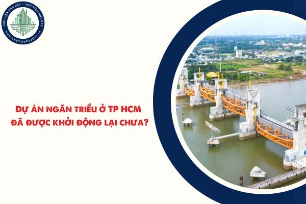 okevipp.com
