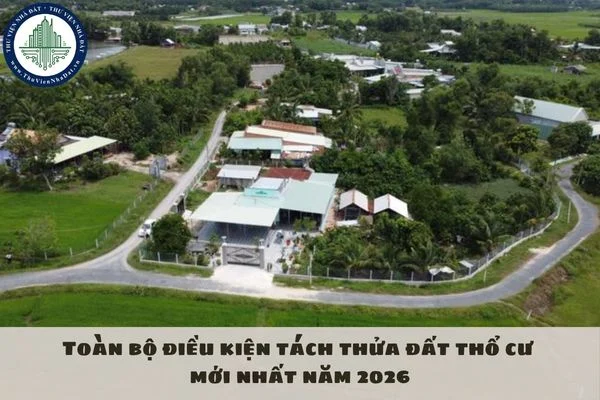 okevipp.com