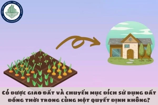 okevipp.com