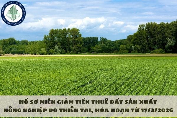 okevipp.com