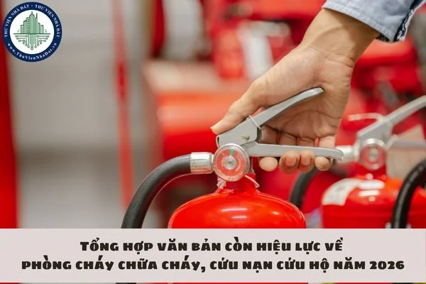 okevipp.com