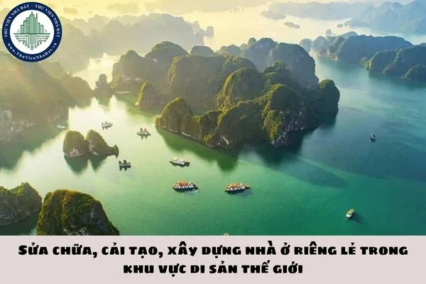 okevipp.com
