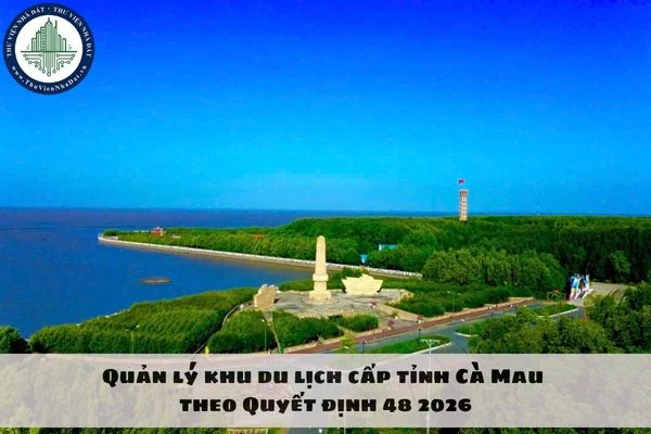 okevipp.com