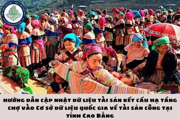 okevipp.com