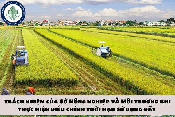 okevipp.com