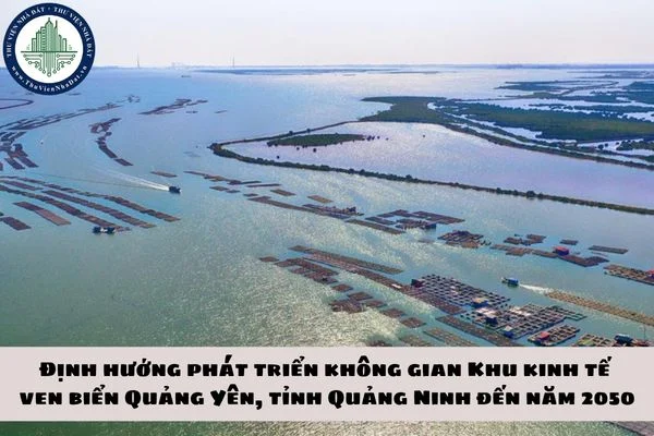 okevipp.com