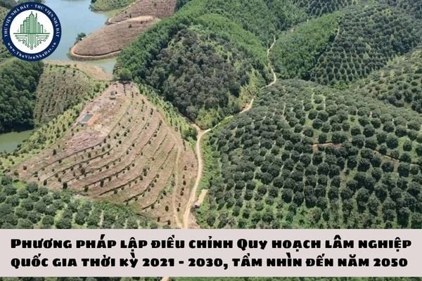 okevipp.com
