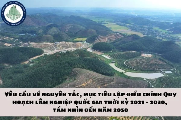 okevipp.com