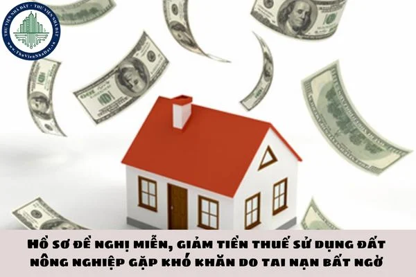 okevipp.com