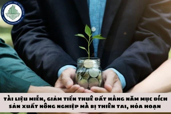 okevipp.com