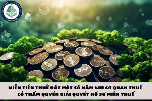 okevipp.com