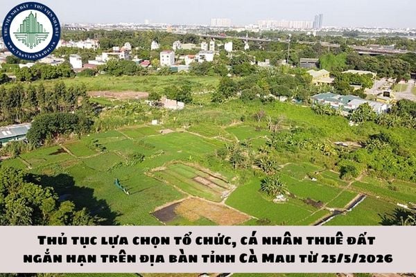 okevipp.com
