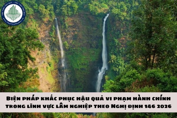 okevipp.com