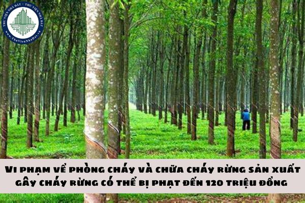 okevipp.com
