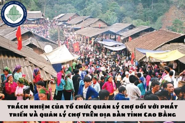 okevipp.com