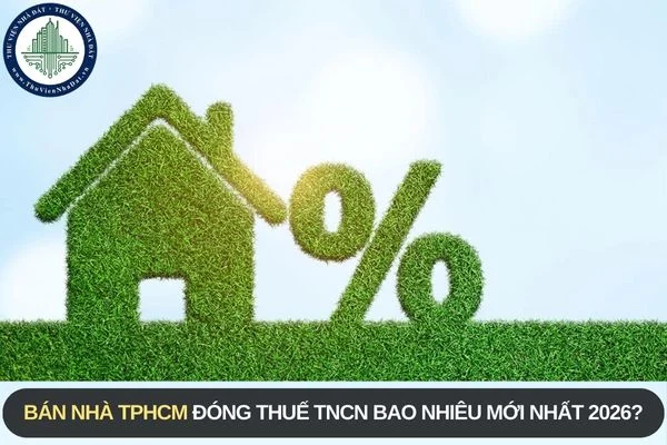 okevipp.com