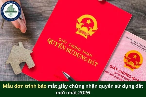 okevipp.com