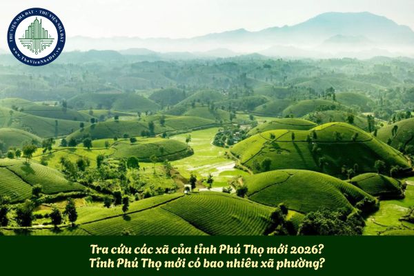 okevipp.com