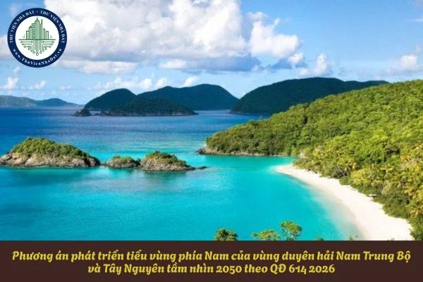 okevipp.com