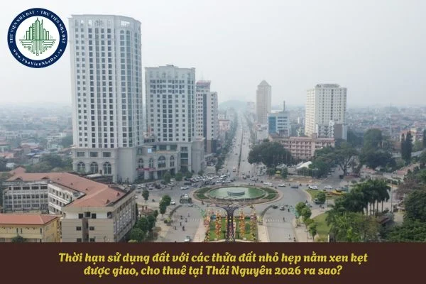 okevipp.com