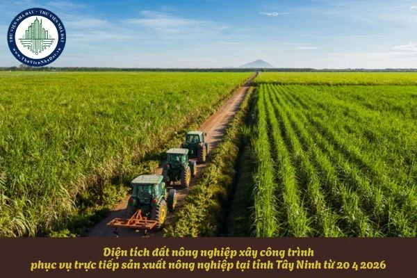 okevipp.com