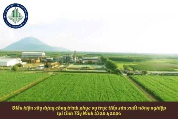 okevipp.com